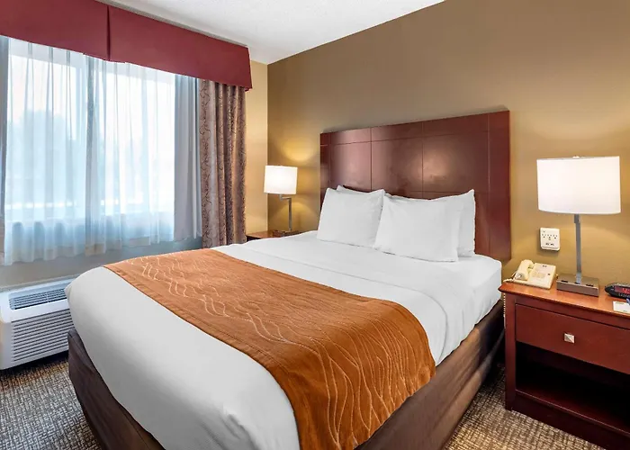 Comfort Inn & Suites Kelso - Longview