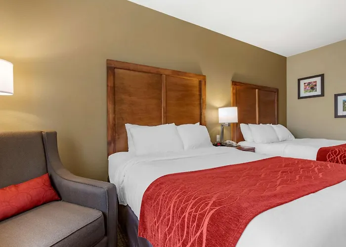 Comfort Inn & Suites Near Mt Rushmore