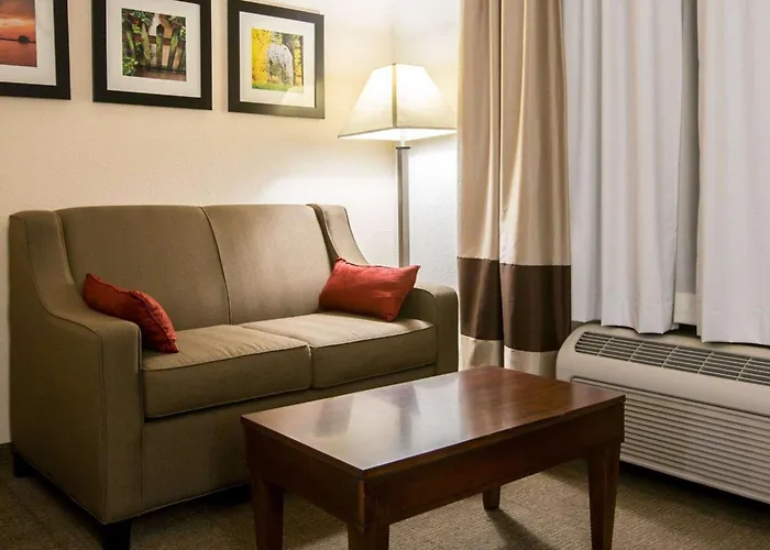 Comfort Suites -Atlanta Near Northside Hospital Forsyth