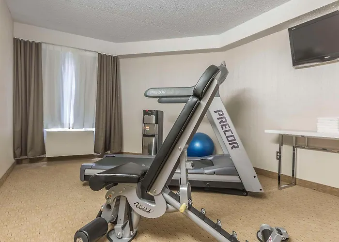 Comfort Inn Levis