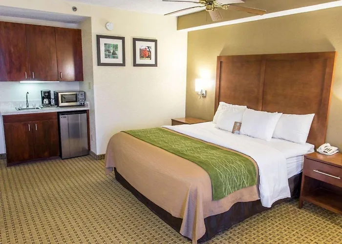 Comfort Inn Hammond