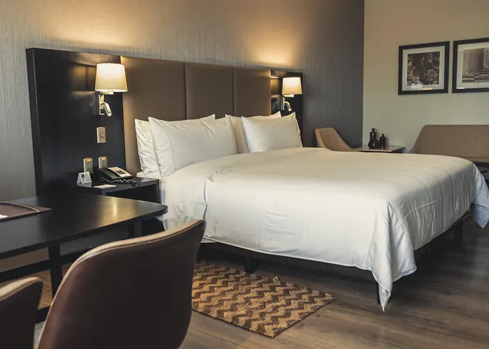 Radisson Hotel Santa Cruz