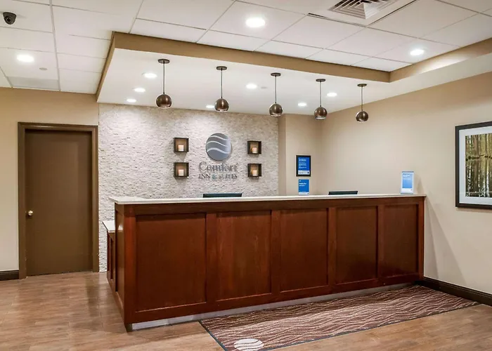 Comfort Inn & Suites At Copeland Tower Metairie