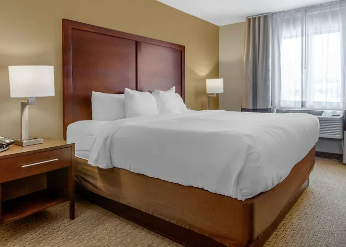 Comfort Inn Sault Ste Marie Mi