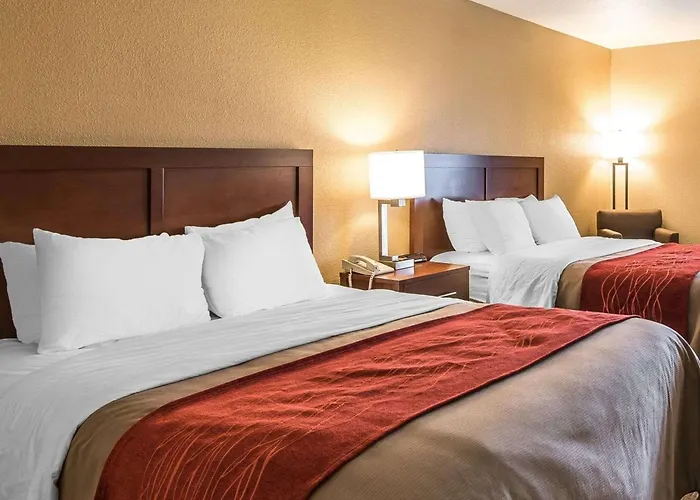 Quality Inn & Suites Bethany