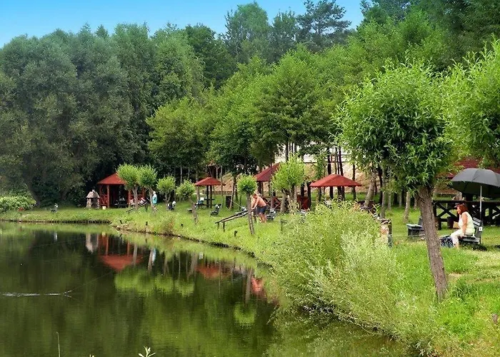 Hotel Kormoran Resort & Spa Sulecin