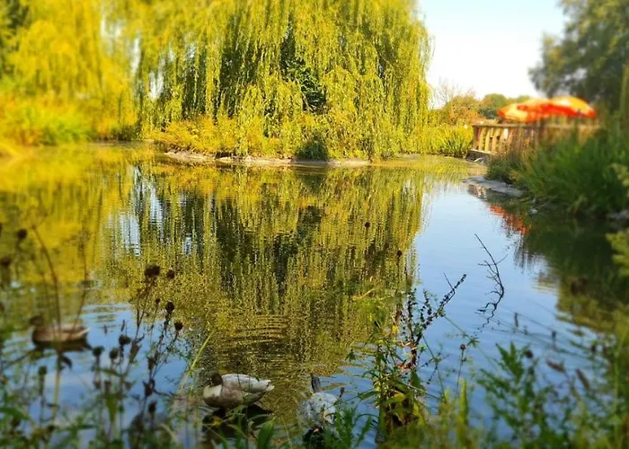 The Black Swan Glazebrook