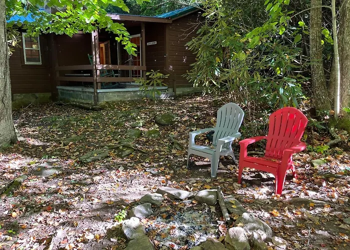 Cozy Cabin Pet Friendly Ada Compatible Maggie Valley