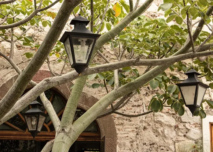Orchid House San Miguel De Allende