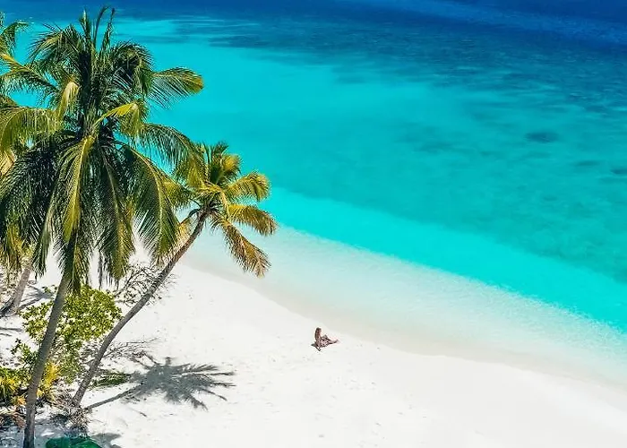 Blue Wave Hotel Maldives - Book Fb A Week Gets A Free Excursion