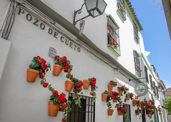 Vitium Córdoba