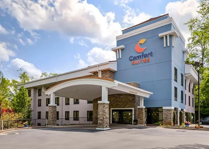 Comfort Suites At State University