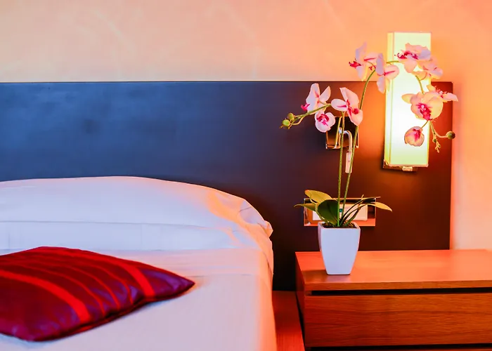 Ahg Donna Silvia Wellness Hotel Manerba del Garda
