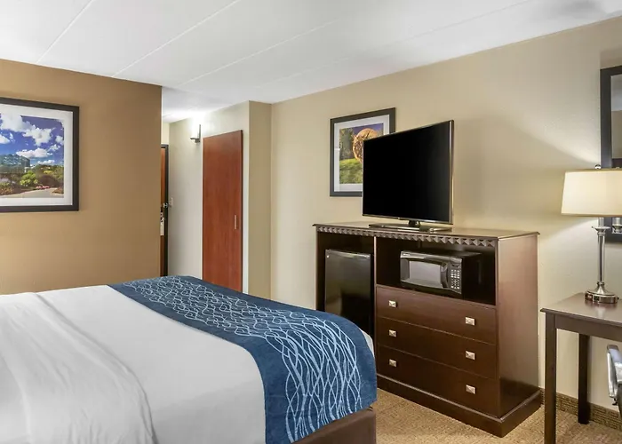 Comfort Inn Grand Rapids Airport Cascade