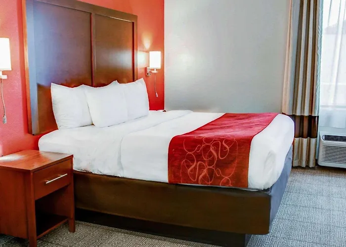 Comfort Suites South