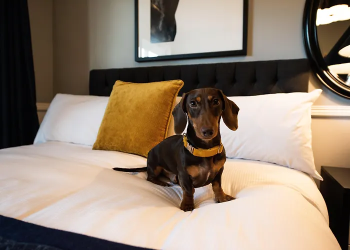 Voco Kirkton Park Hunter Valley By Ihg