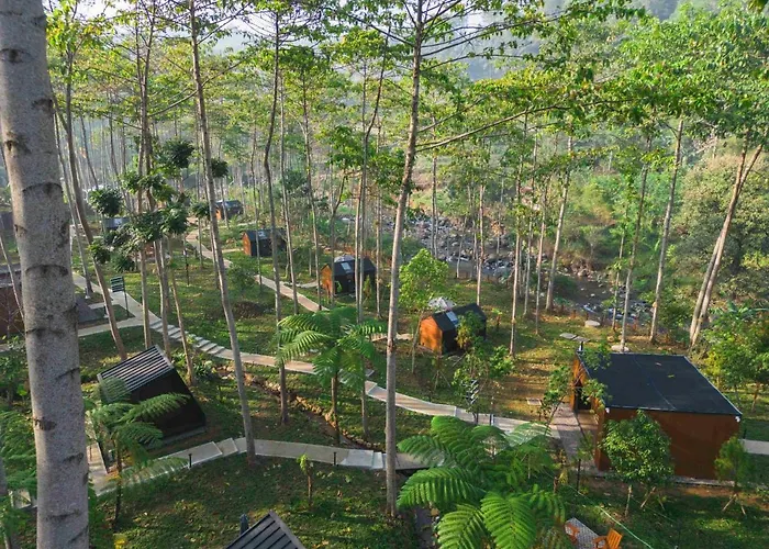 Bobocabin The Tavia, Puncak