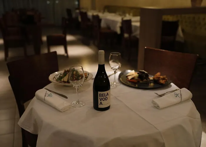 Hotel Stara Planina Custica