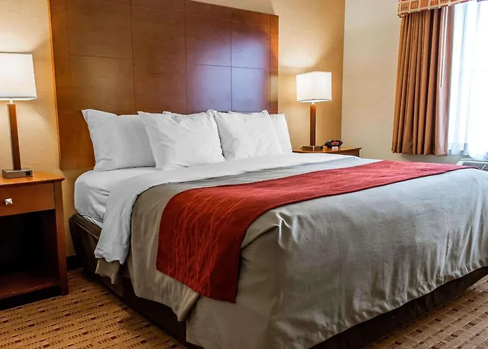 Comfort Inn & Suites Franklin East