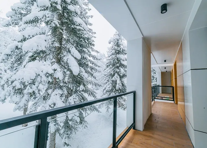 Forest Villa Goderdzi