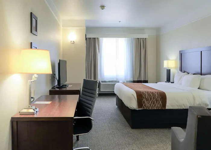 Comfort Inn & Suites, I-20