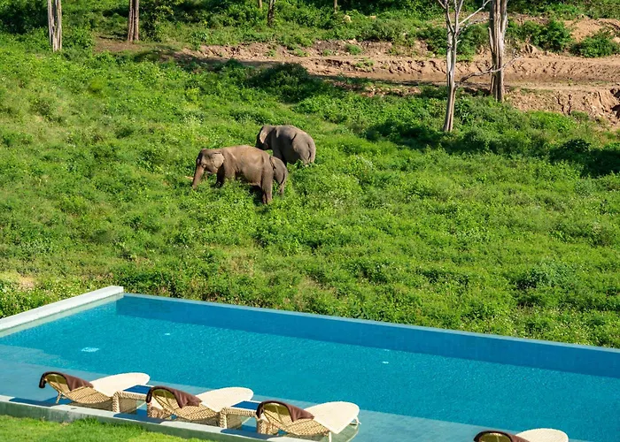 Wild Cottages Elephant Sanctuary Resort Bophut