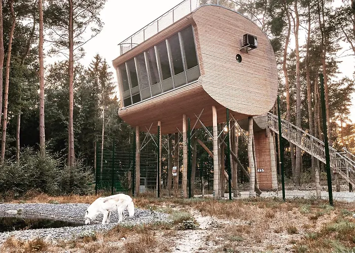 Tree Inn - Das Baumhaushotel Dörverden