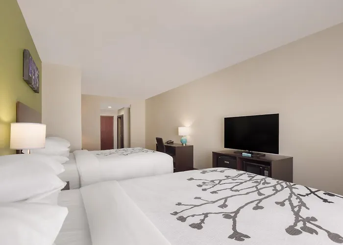 Sleep Inn & Suites North Mobile Saraland