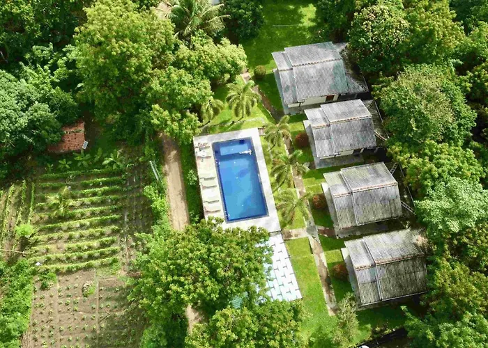 Jungle Paradise