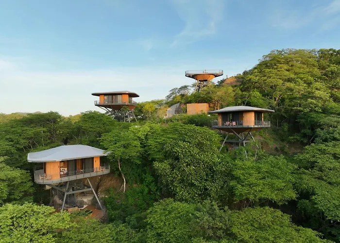 Suitree Experience Hotel