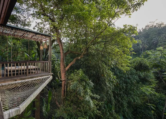 Kayon Jungle