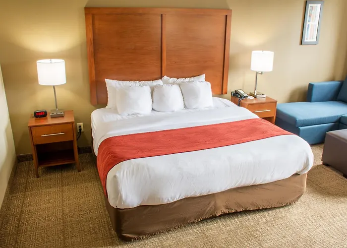 Comfort Inn Dickson