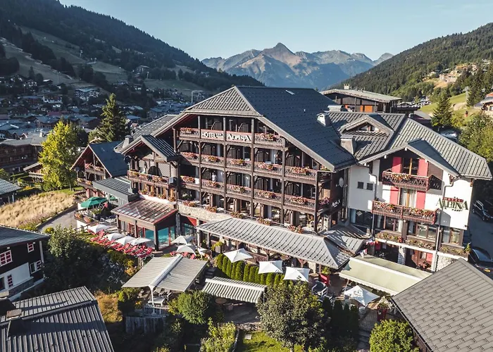 Hôtel Alpina