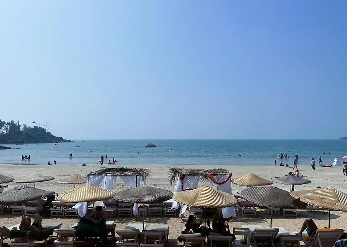 Art Resort Goa Palolem
