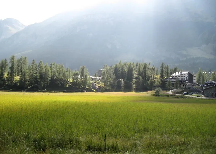 Les Neiges D'Antan