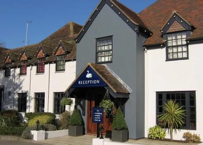 The White Swan