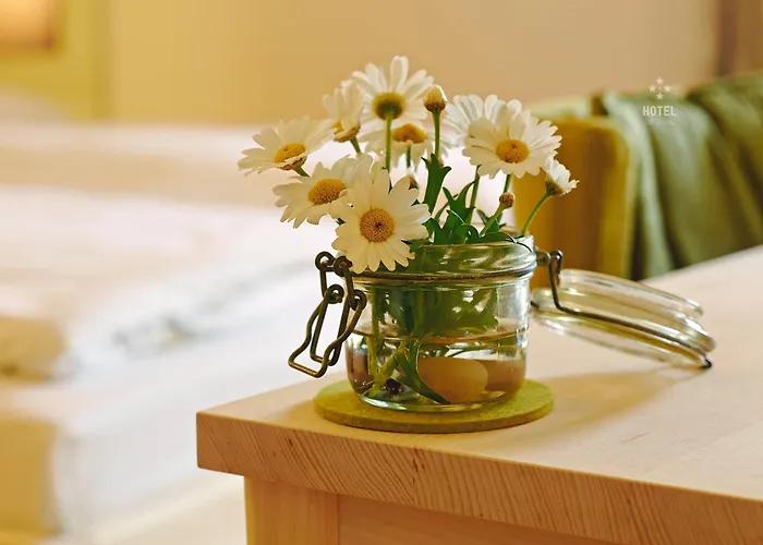 Hotel Zur Schanz Ebbs