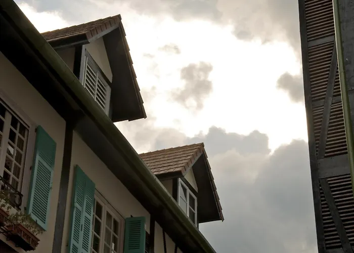 Colmar Tropicale