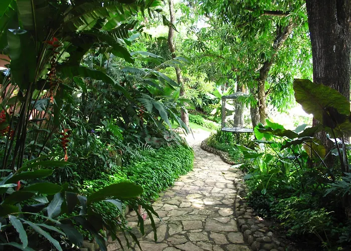 Los Almendros de San Lorenzo