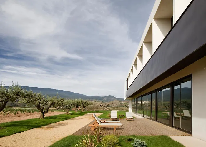 Hotel-Bodega Finca de Los Arandinos