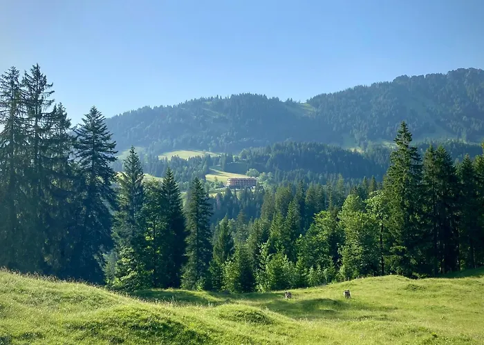 Ruhehotel&Naturresort Rehbach - Adults only