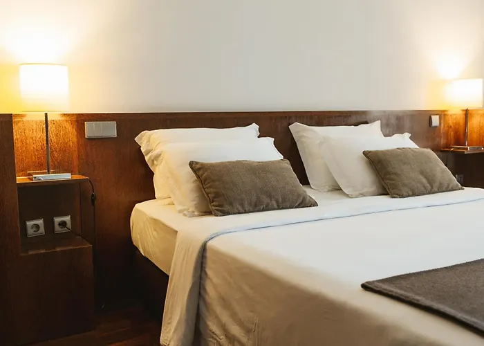 Hotel Douro Scala à Mesão Frio