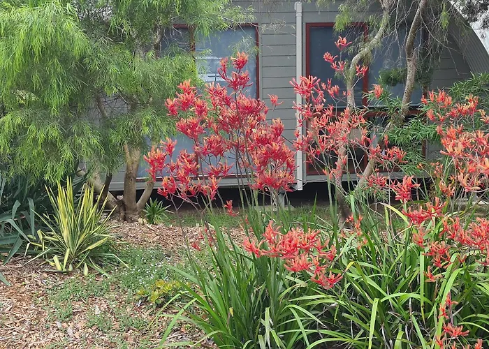 Mallacoota'S Shady Gully Caravan Park
