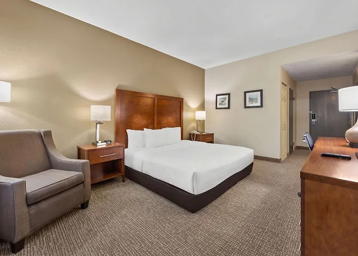 Comfort Inn Fort Myers Northeast
