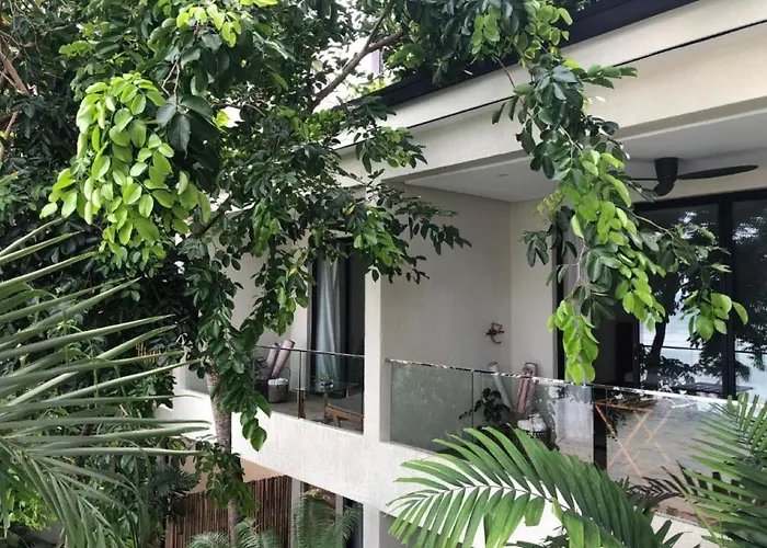 Frangipani El Nido