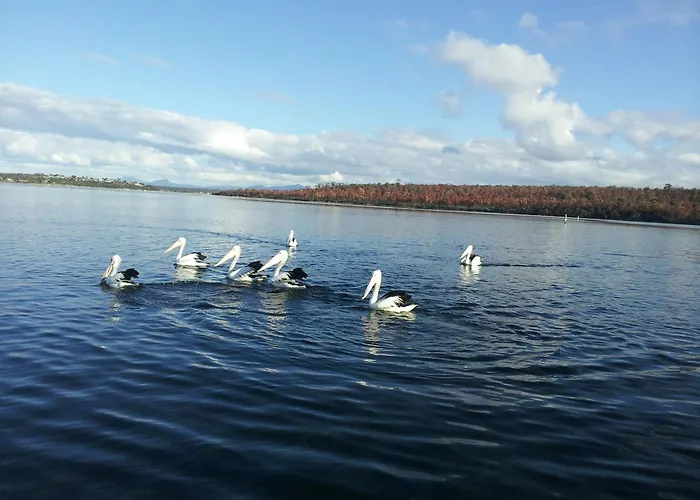 Pelican Point Sanctuary