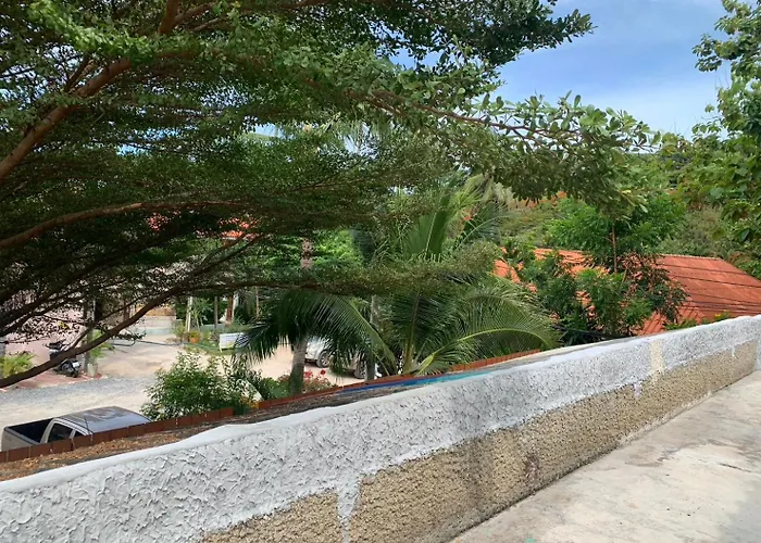 Paradise Bungalows