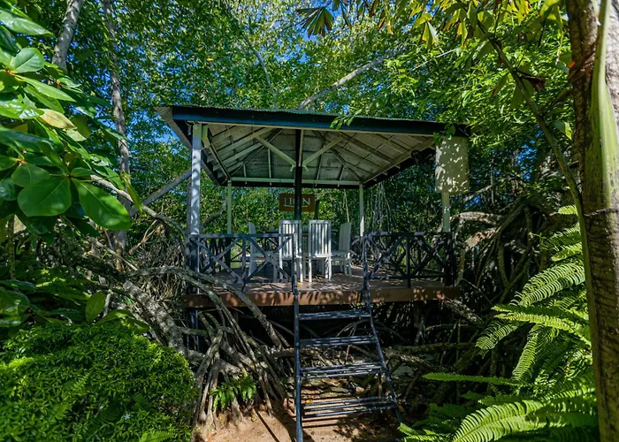 The Mangrove Cave Hotel