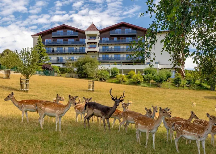 Natur- und Wohlfühlhotel Kastenholz