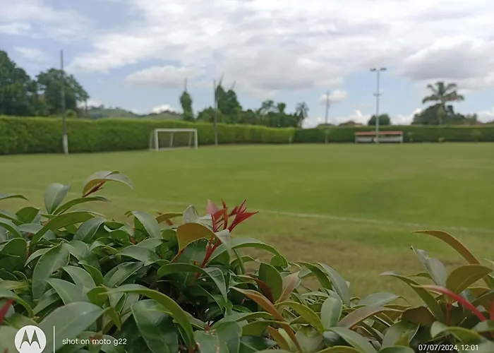 Hotel Palo Grande Cf Pereira